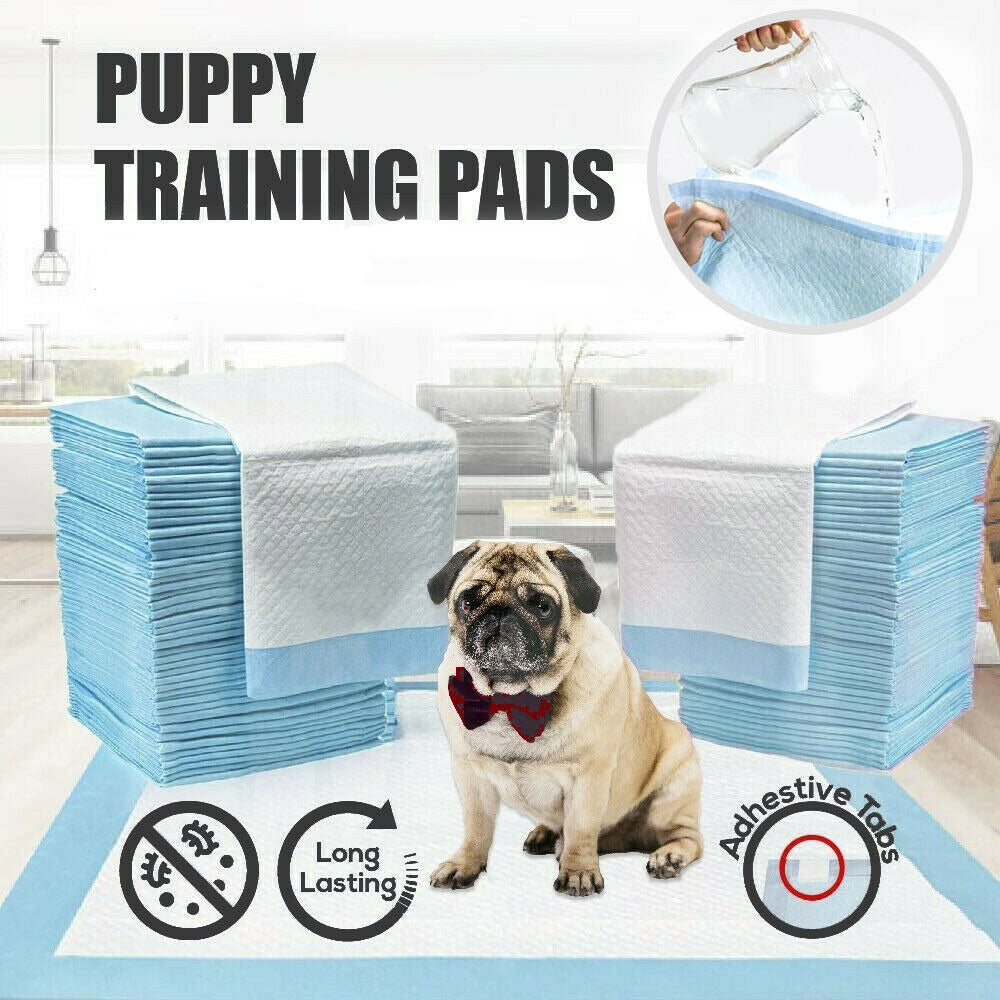 80pcs 60x60cm Dog Pads