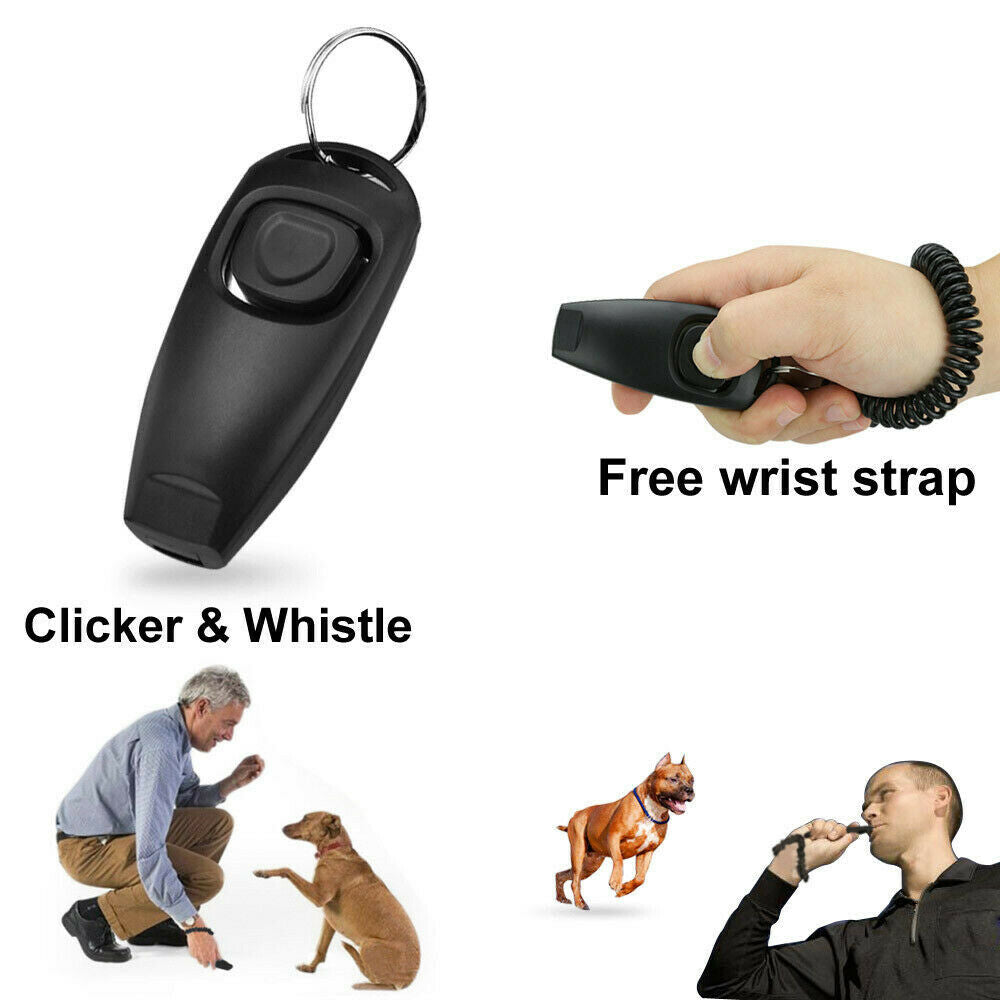 Free shipping-2in1 Pet Clicker with Keychain