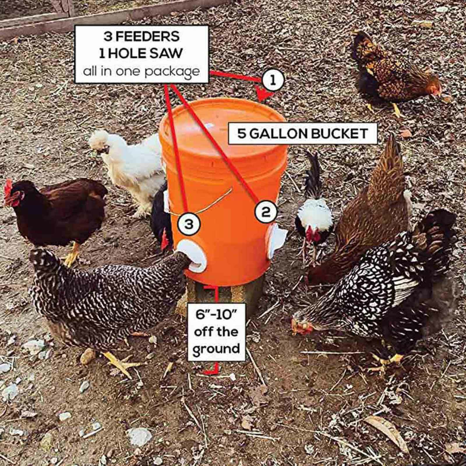 Chicken Feeder Poultry Pro Feeder DIY Port PVC Gravity Fed Chicken Feeder