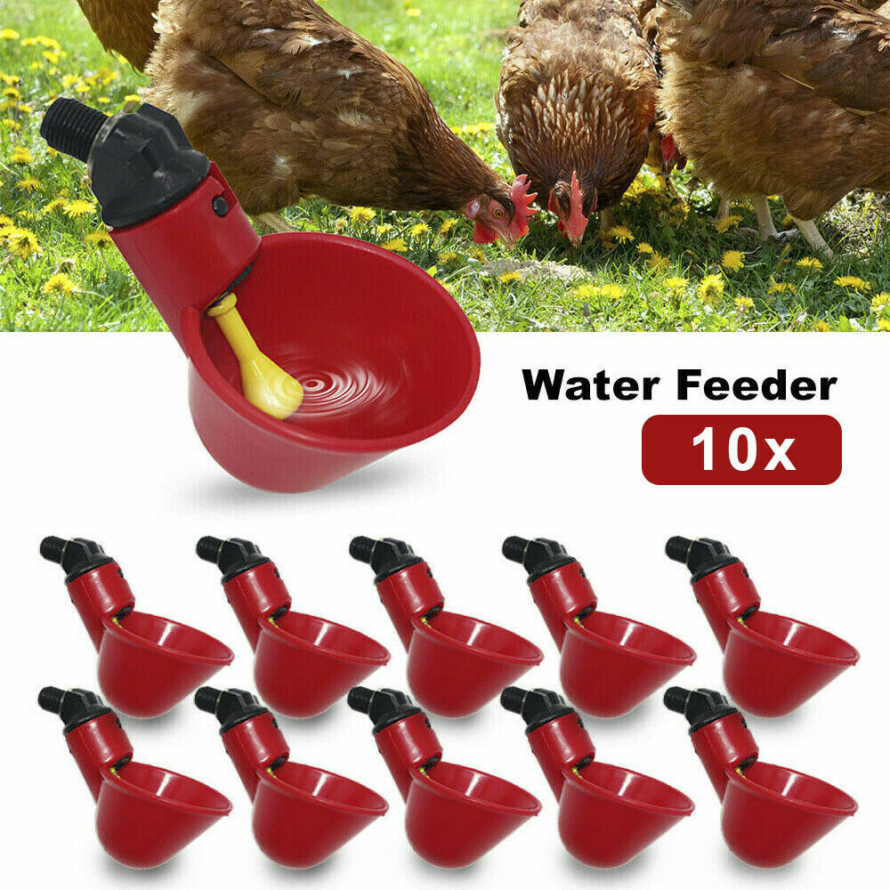 10x Automatic Cups Water Feeder Drinker Chicken Waterer Poultry Chook Bird