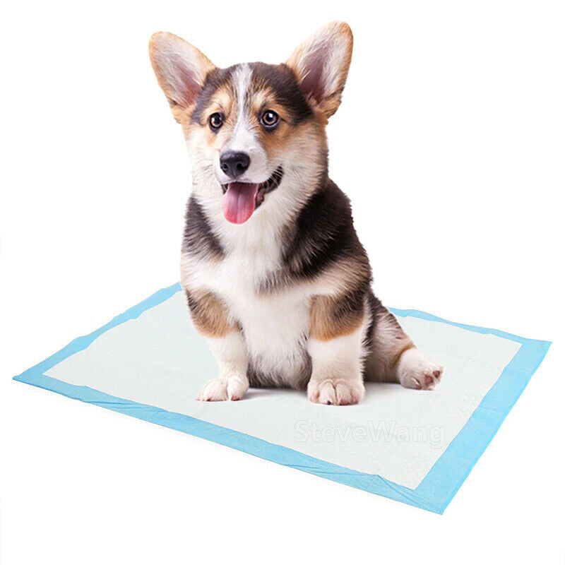 80pcs 60x60cm Dog Pads