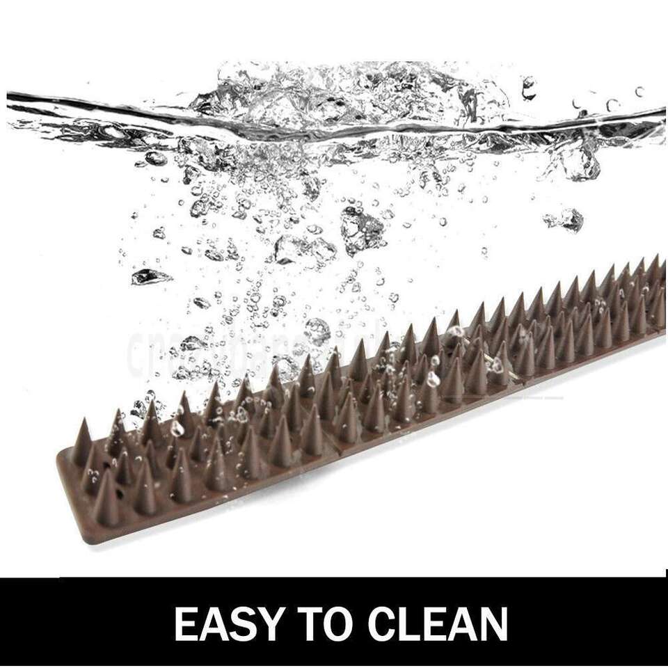 10X Bird Spikes Human Cat Possum Pest Mouse Control Spiked Fence Wall Deterrent