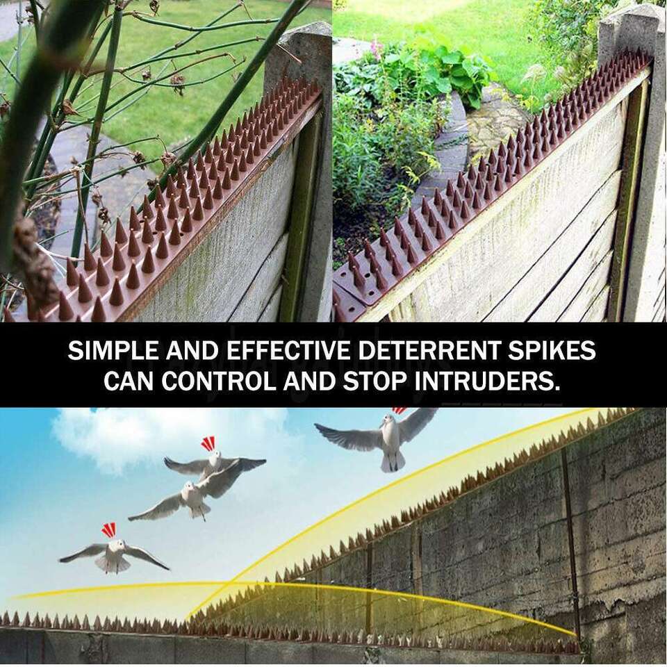 10X Bird Spikes Human Cat Possum Pest Mouse Control Spiked Fence Wall Deterrent