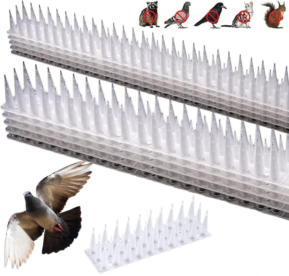 10X Bird Spikes Human Cat Possum Pest Mouse Control Spiked Fence Wall Deterrent