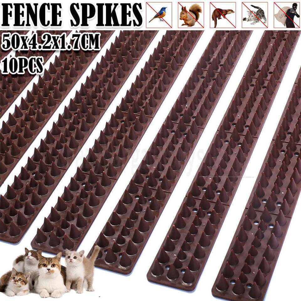 10X Bird Spikes Human Cat Possum Pest Mouse Control Spiked Fence Wall Deterrent